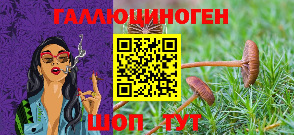 Галлюциногенные грибы прущие грибы  Вход с VPN  Верхняя Салда 