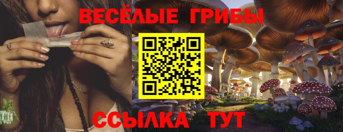 Псилоцибиновые грибы MAGIC MUSHROOMS Верхняя Салда